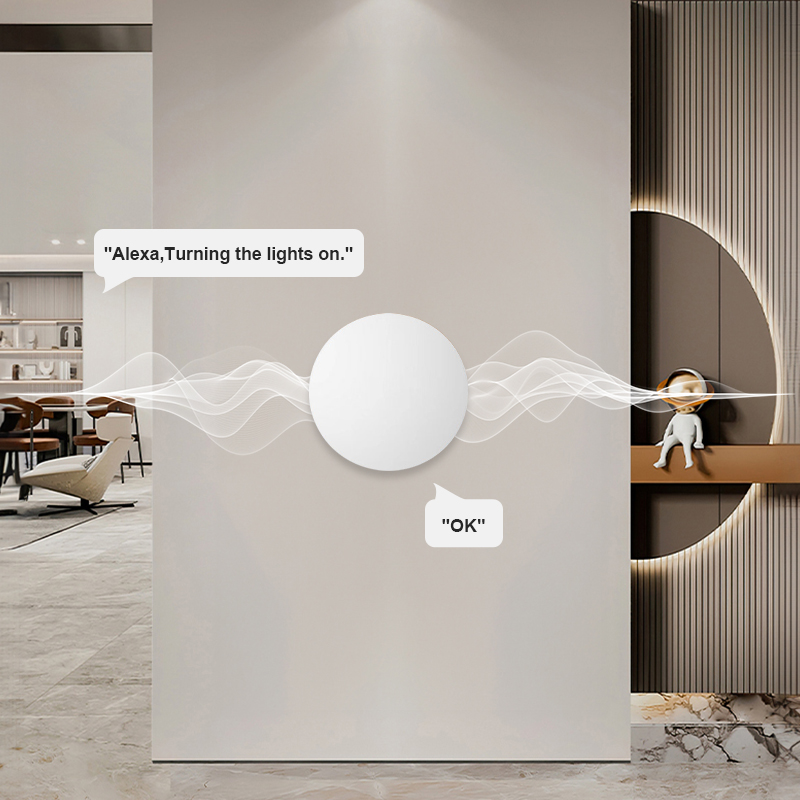 Беспроводная кнопка-переключат – обзор и цена Smart Home Voice Assistant