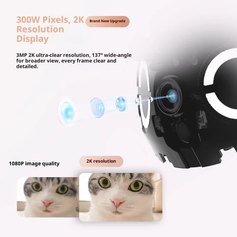 Enabot ROLA Mini Smart Robot И – обзор и цена Smart Home Video