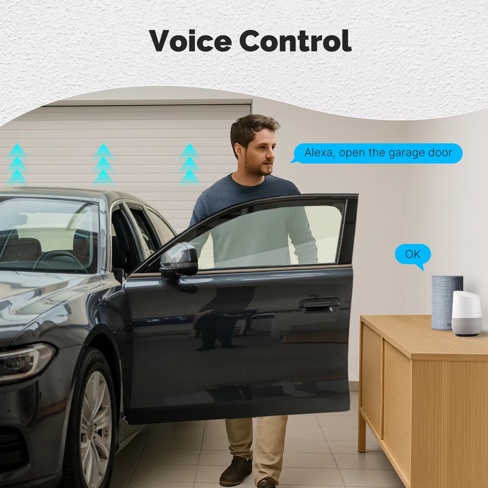 Модуль управления гаражными во – обзор и цена Smart Home Voice Assistant
