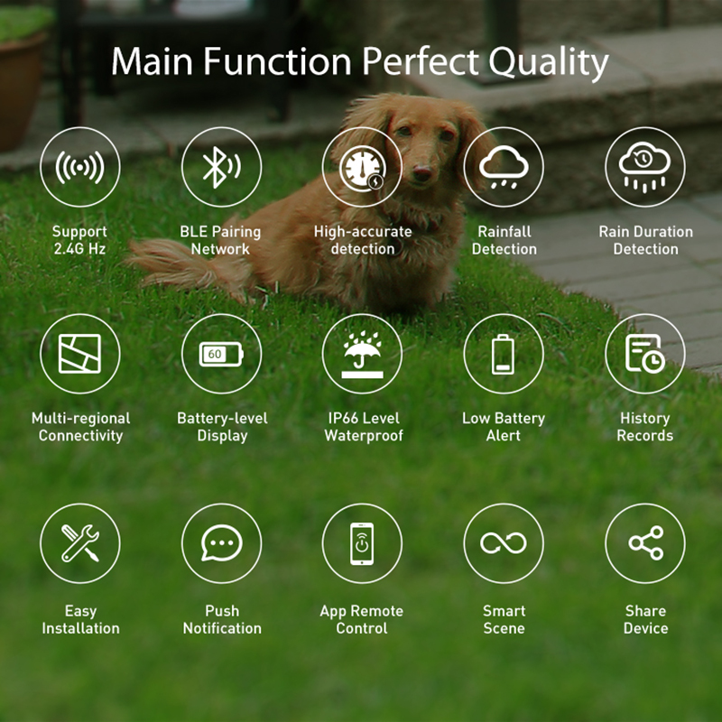 Датчик дождя Wi-Fi, обнаружени – обзор и цена Smart Home Nas